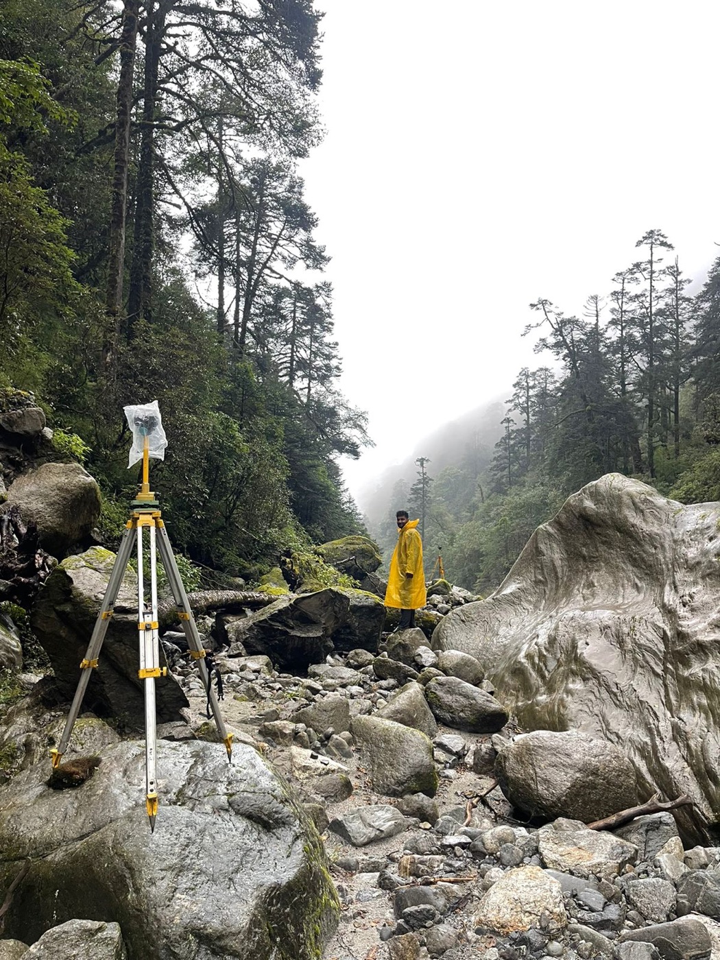 Experts observant un milieu forestier sur le terrain